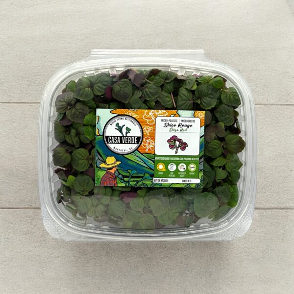 Shiso-Britton-Red-japanese-ingredient-microgreen--micro-shiso-montreall-6\